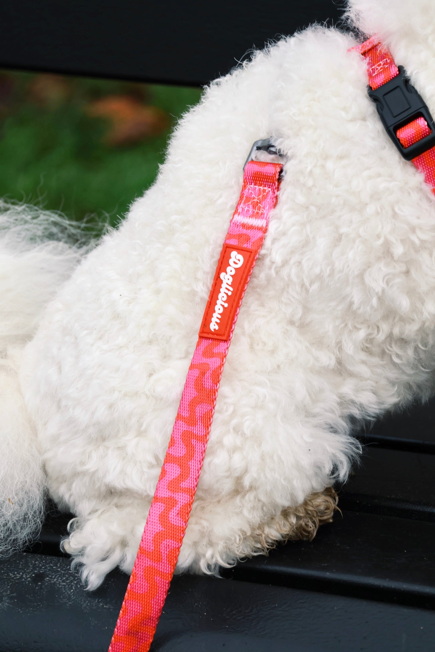 Rasberry Bliss Hands-Free Leash